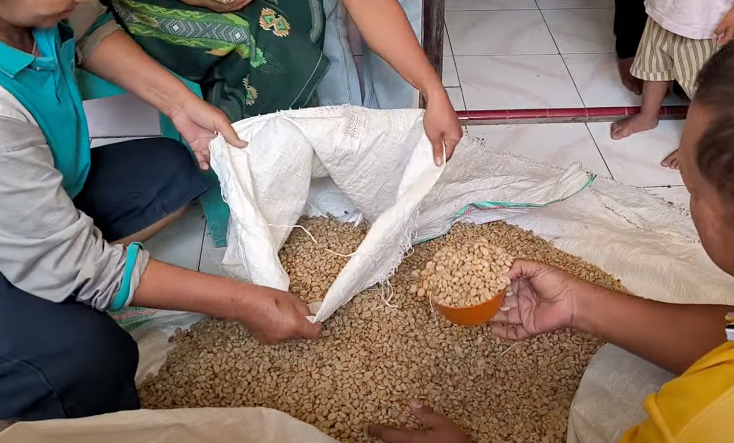 Sorting through washed beans