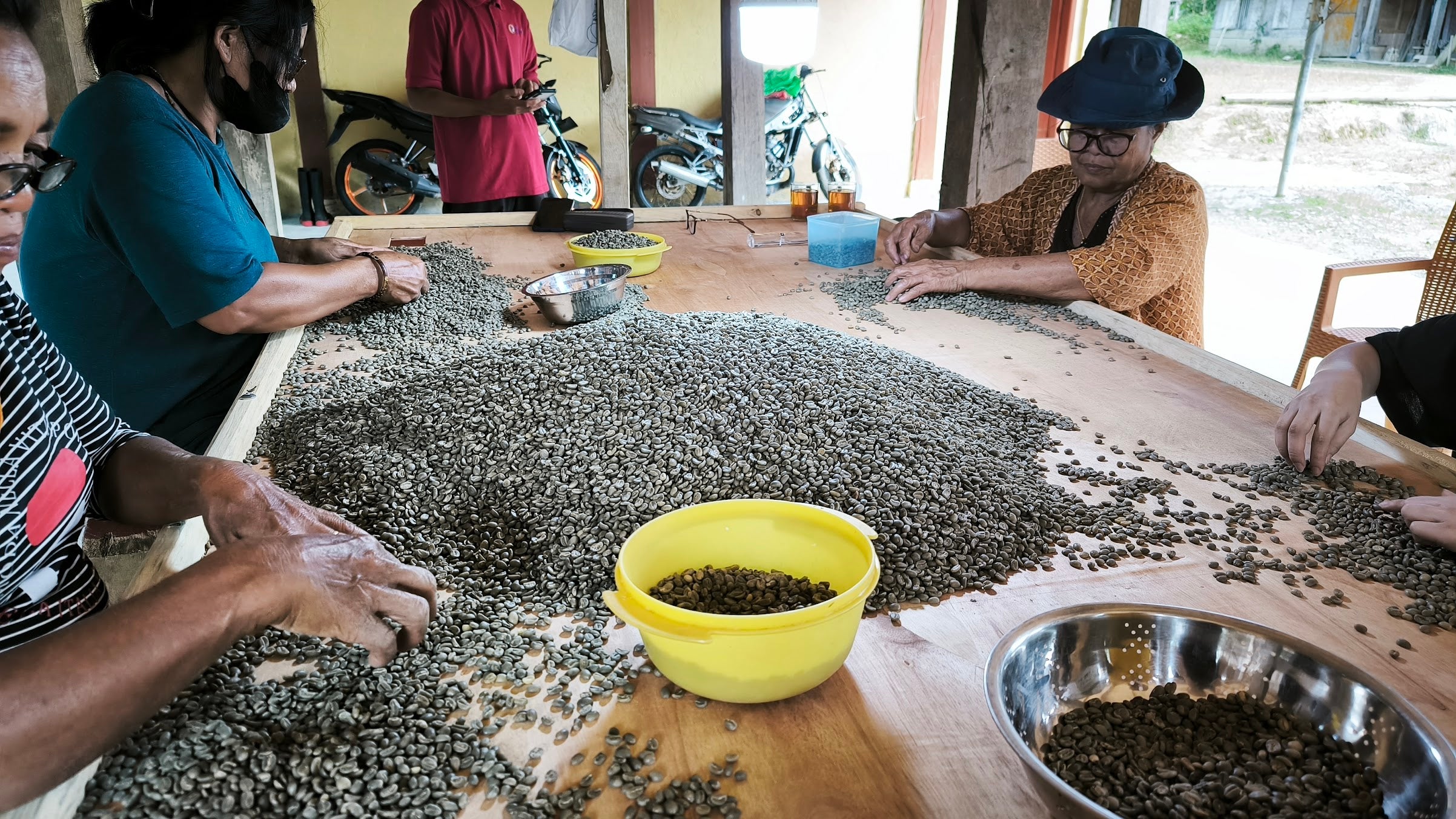 Sorting through the beans to ensure the quality and consistency.