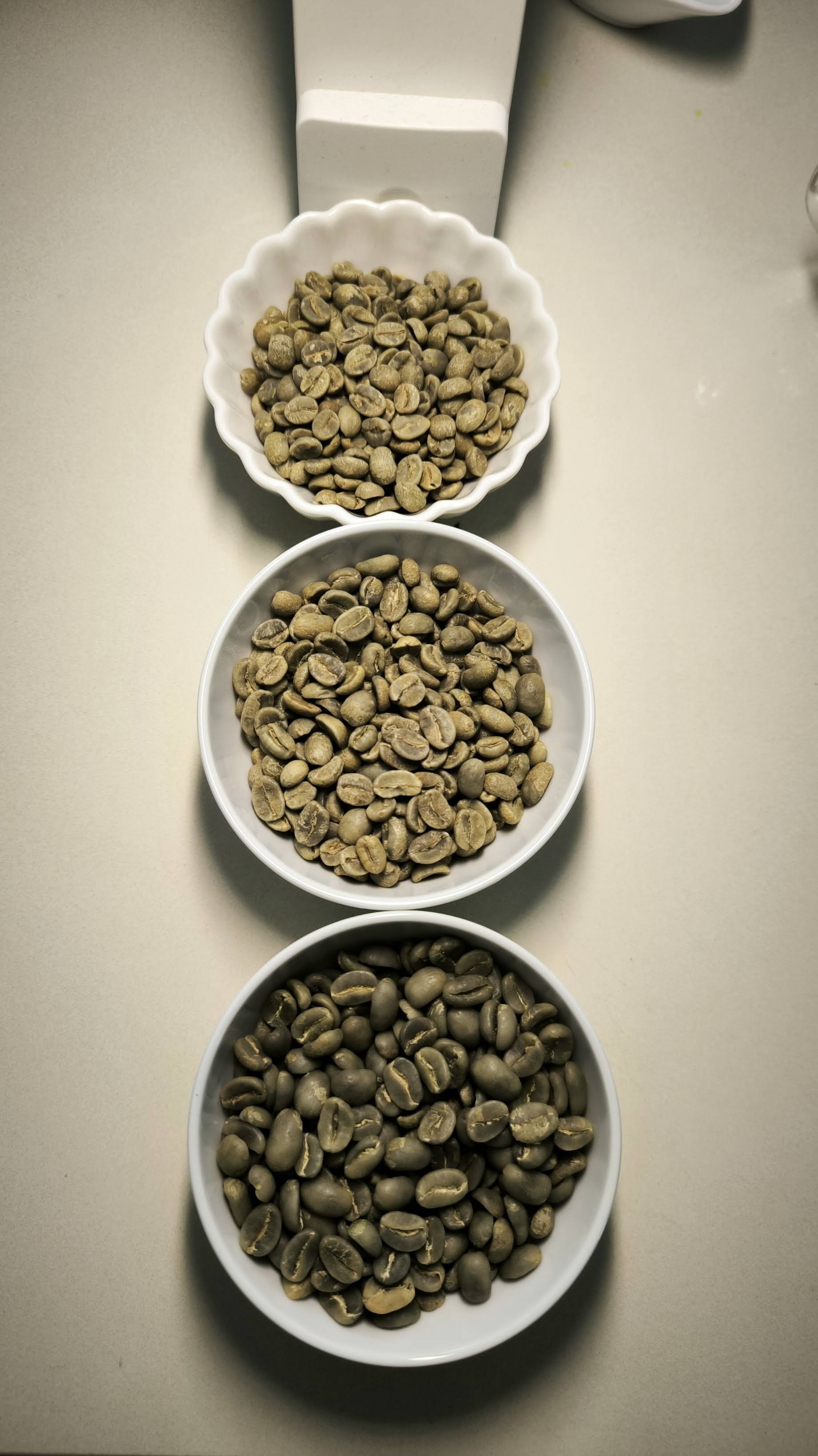 Beans processed in 3 ways_Vertical